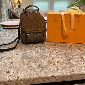 Louis Vuitton Reverse Monogram Palm Springs Backpack Mini